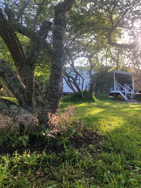 2 Bedroom Property for Sale in Knysna Central Western Cape